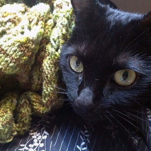 f.o. friday: mysterious