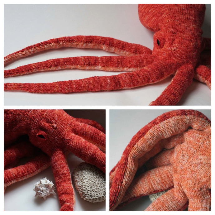 F.O. Friday: Opus the Octopus