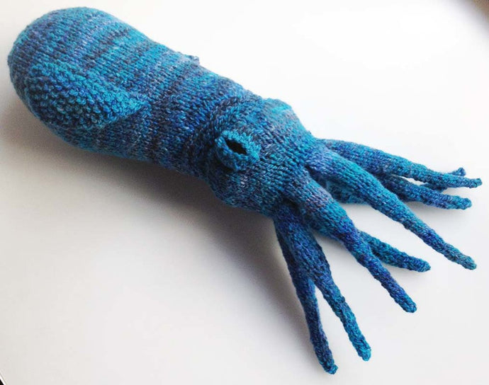 f.o. friday: Tako the Bobtail Squid!