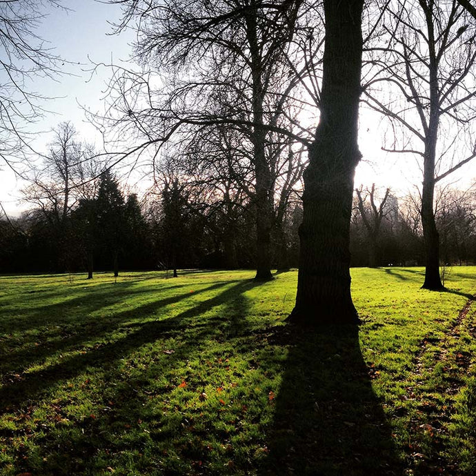 london postcard #1: The V&A