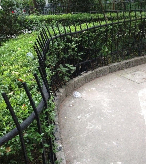 shanghai postcard #17: a near miss