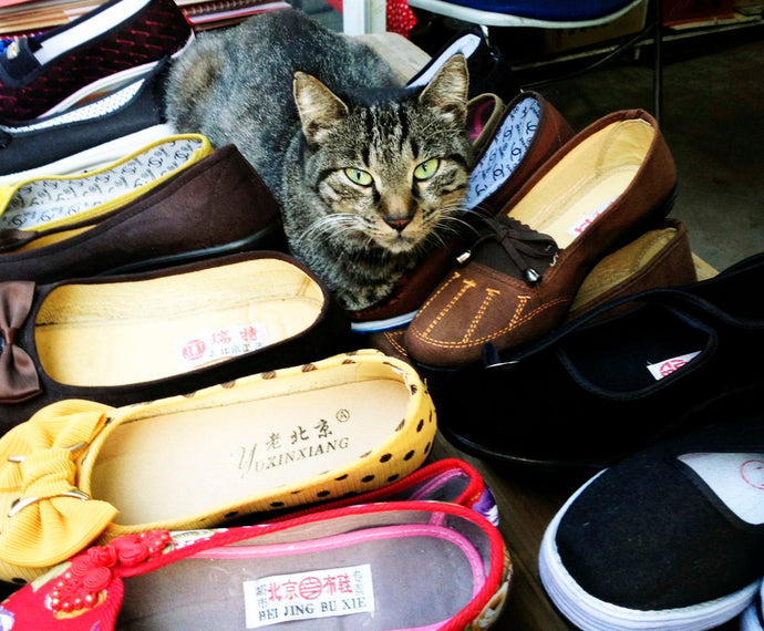 shanghai postcard #26: no shoes in the house