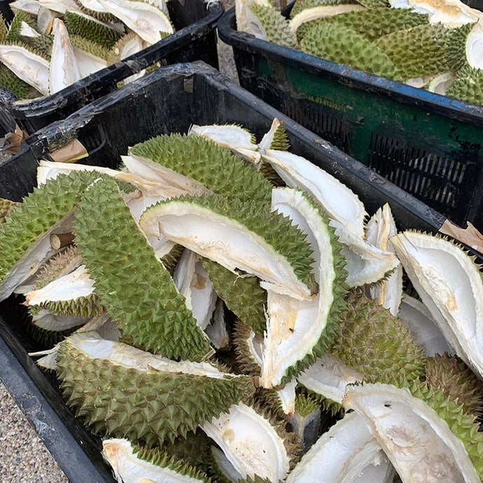Singapore Postcard: Durian